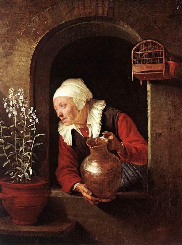 DOU, Gerrit Old Woman Watering Flowers sd Norge oil painting art